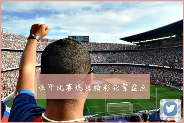法甲比赛现场精彩花絮盘点