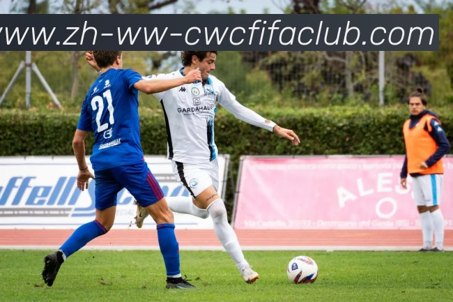 世界杯竞猜发展历程