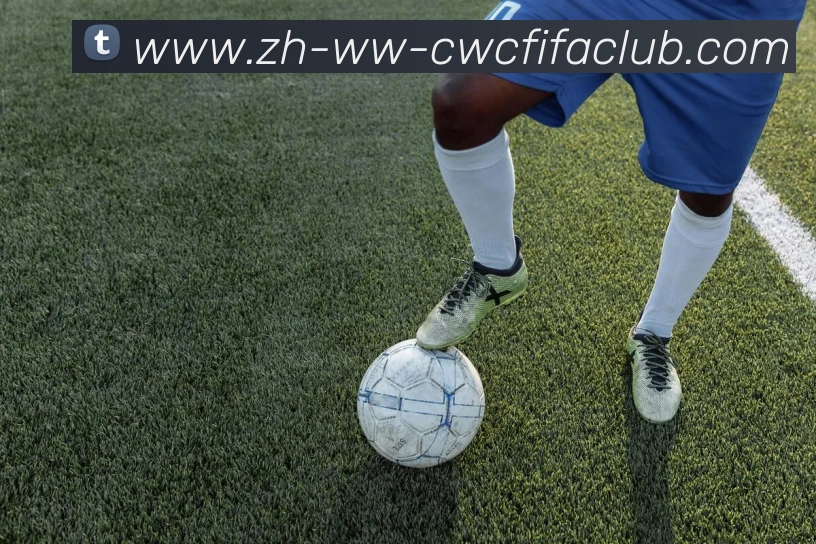 火箭队与太阳队比赛录像的完整回放