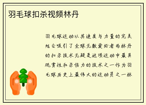 羽毛球扣杀视频林丹