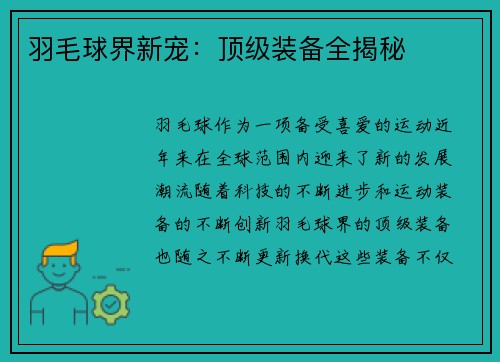 羽毛球界新宠：顶级装备全揭秘